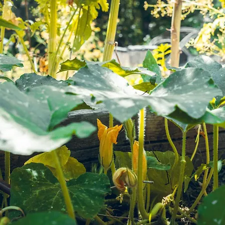 Logis La Magnanerie - Cote Bistro 3*