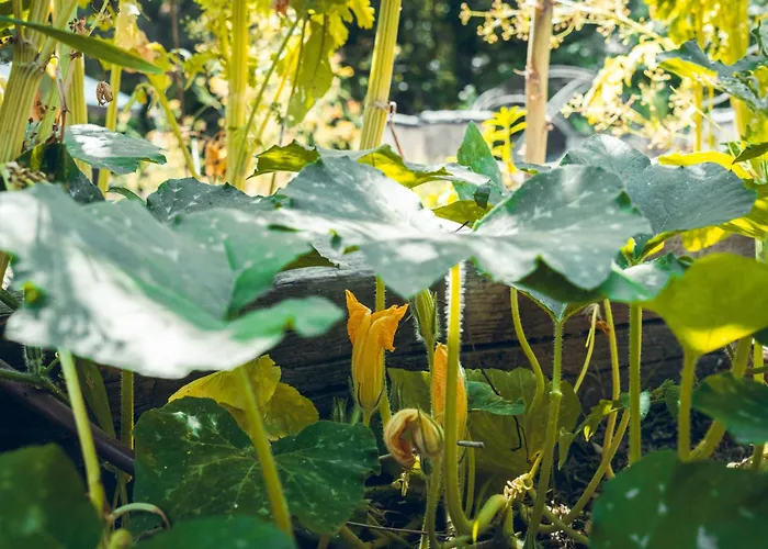 La Magnanerie - Côté Bistro 3*