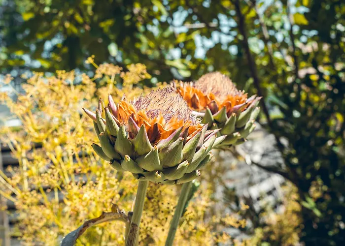 Logis La Magnanerie - Cote Bistro Hotel 3*